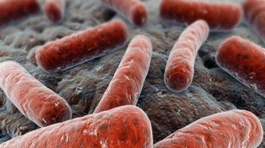 ‘Verem 70 bin yıl önce bulaştı’