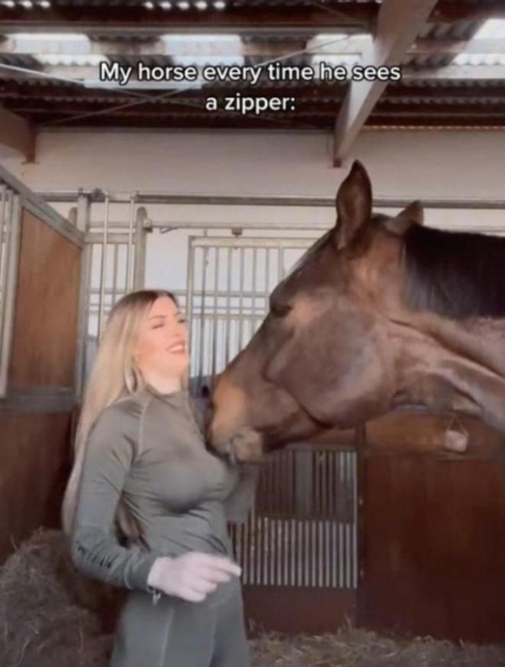 Ünlü model Augustine'in zor anları! Sevmeye çalıştığı at bluzunun fermuarını açtı G4