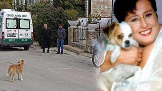 Akrep Nalan'ın vefatının ardından yürek burkan kare! Köpeği arkasından bakakaldı