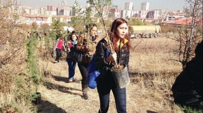 Fidan diktiler 14 yıl verin