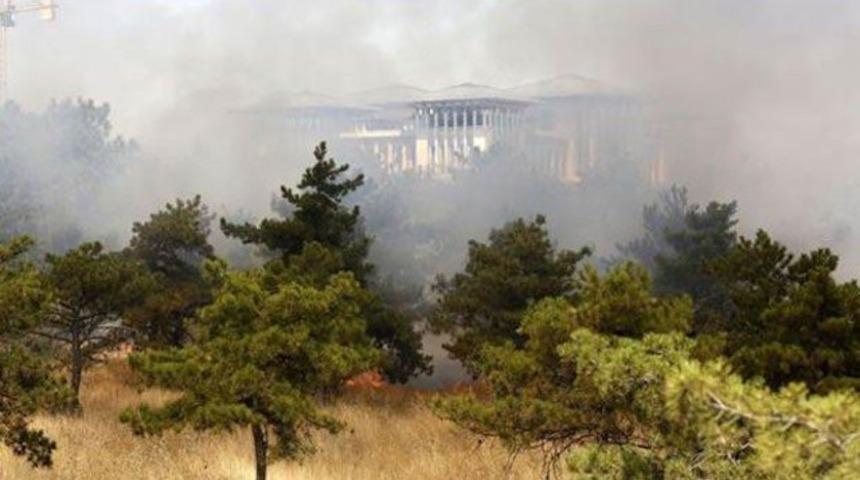 Atat&uuml;rk Orman &Ccedil;iftliği'nde yangın