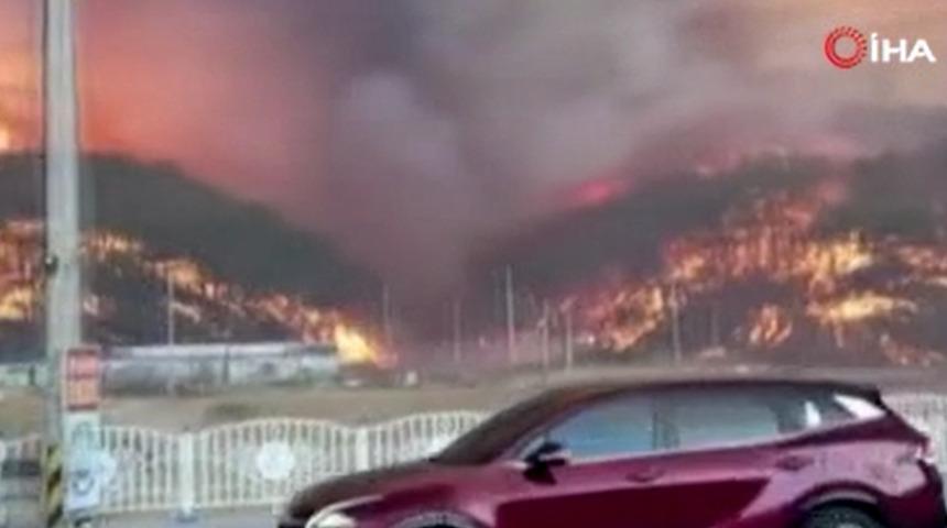 Güney Kore'de orman yangını! Hanul Nükleer Santrali yakınına ulaştı