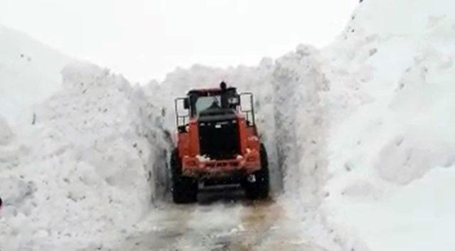 Yüksekova’daki Doski Vadisi’nde kardan 5 metrelik tüneller oluştu