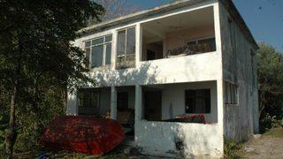 Vahşetin ayrıntıları gün yüzüne çıkıyor