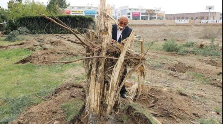 Tiyatroya yine gece baskını! Yine ağa&ccedil; katliamı!