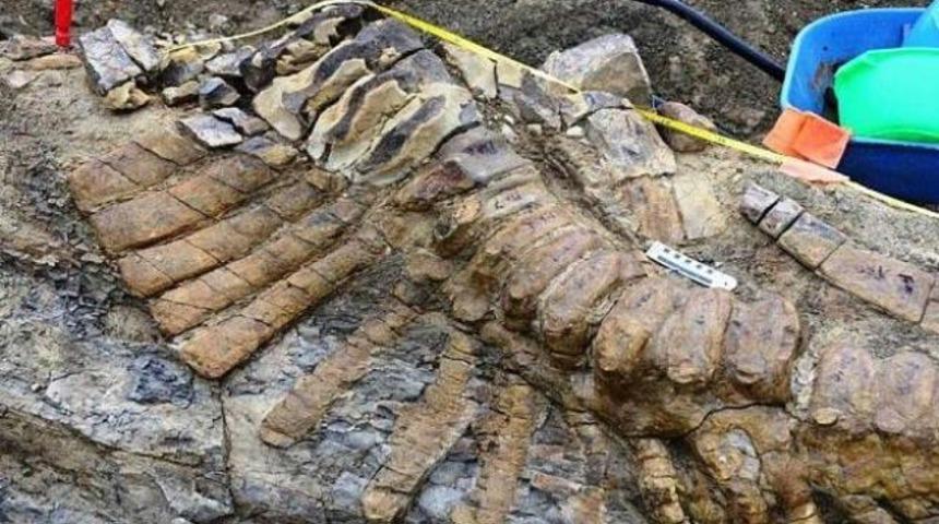 70 milyon yıllık heyecanlandıran keşif