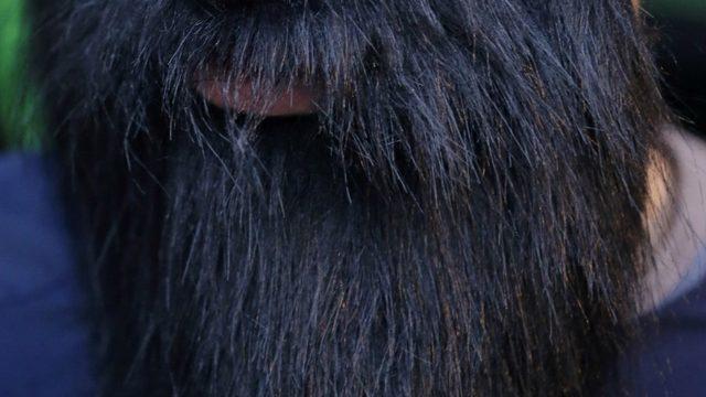 Alman askerlerine 'bakımsız sakal' yasağı