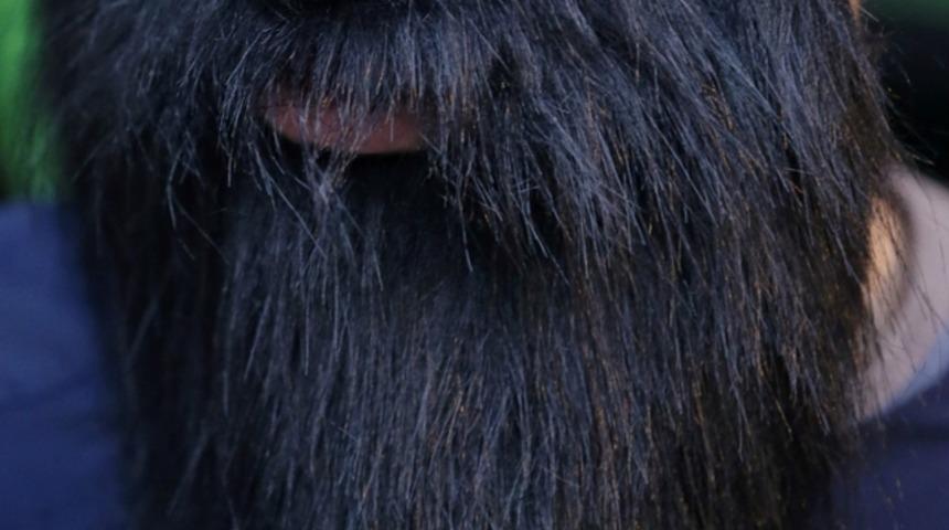 Alman askerlerine 'bakımsız sakal' yasağı