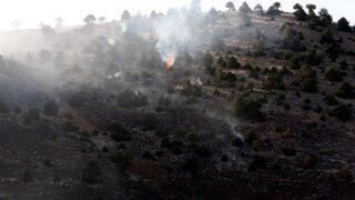 Göksun’da orman yangını
