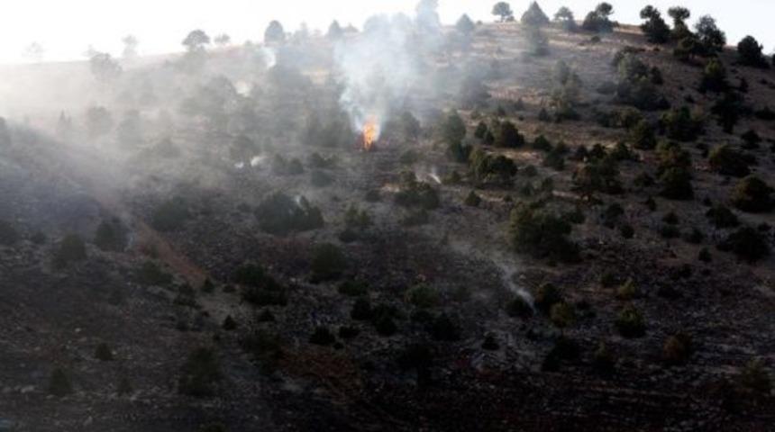 Göksun’da orman yangını