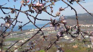 İlk cemre yarın düşüyor