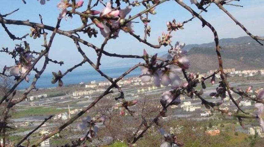 İlk cemre yarın düşüyor