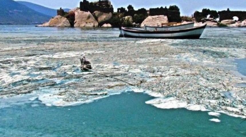 Ve Bafa'da korkulan oldu!