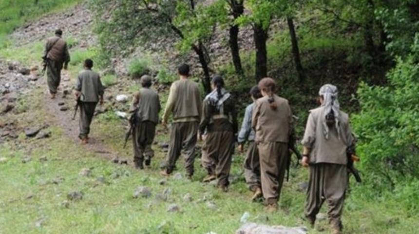 15 yaşında &ccedil;ocuklar da var: 12 ter&ouml;rist teslim oldu