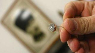 Böcek soruşturmasında 5 tutuklama talebi