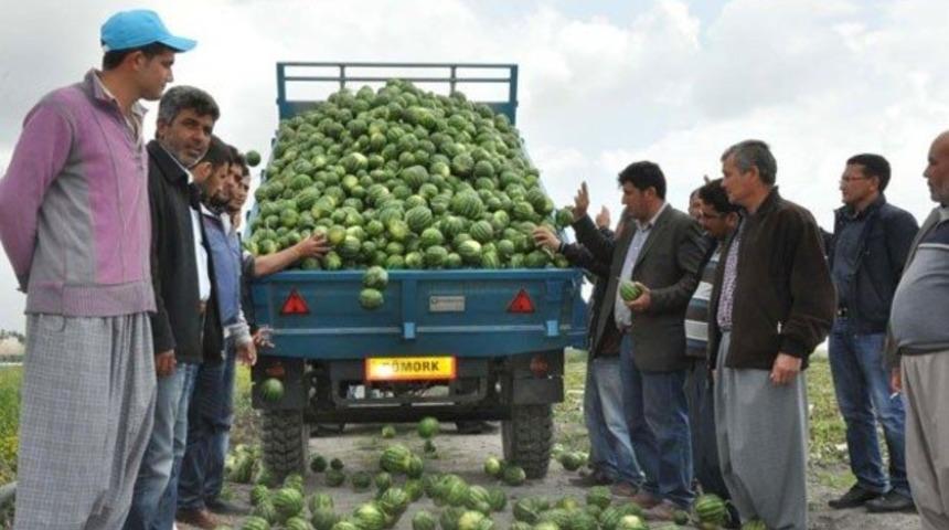 Erken karpuzu unutun