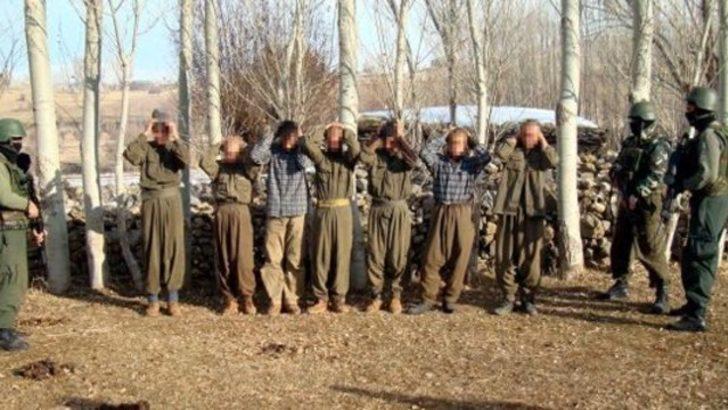 12 PKK'lı terörist teslim oldu