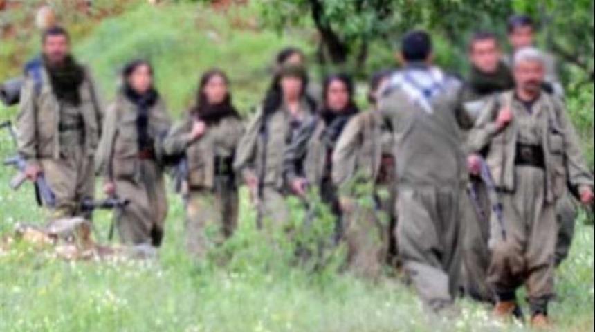 PKK muhtar kaçırdı