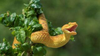 Hangi ülkede en çok hangi rüya görülüyor? İşte ülkelerin Google'da en çok arattığı rüyalar...