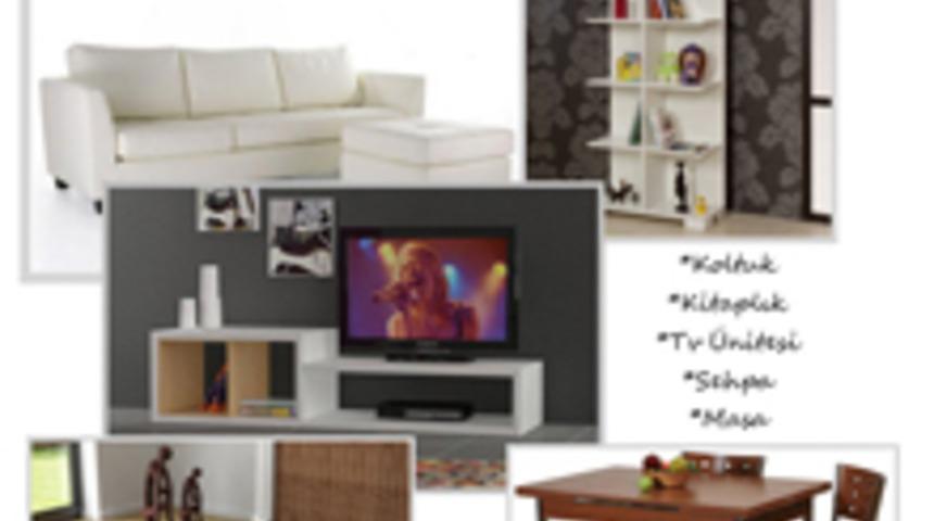 Tek Kişilik Evde Dekorasyon 