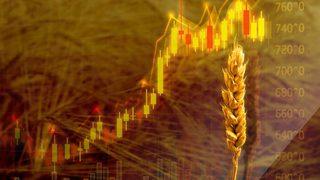 Buğday fiyatlarında rekor! Kıtlık için tarih verildi: 3-4 ay içinde...