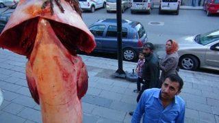 Nehirden 42 kiloluk yayın balığı çıktı