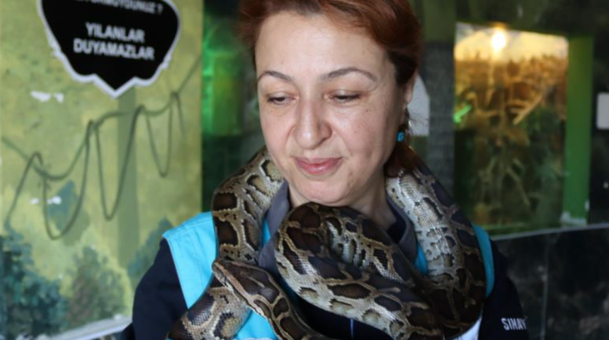 Yılanlara anne şefkati! Herkes yaklaşmaya korkuyor, o günaydın mesajıyla karşılıyor