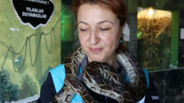 Yılanlara anne şefkati! Herkes yaklaşmaya korkuyor, o günaydın mesajıyla karşılıyor