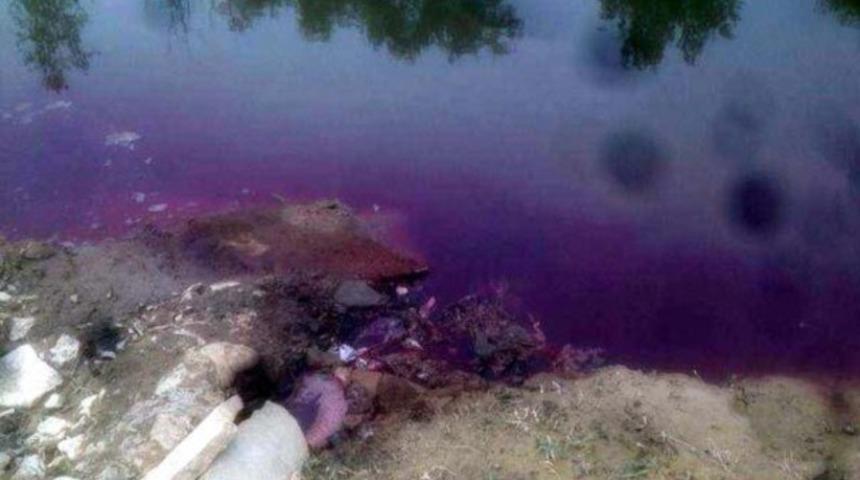 'Sakarya Nehri'ne kan akıltıldı' iddiası