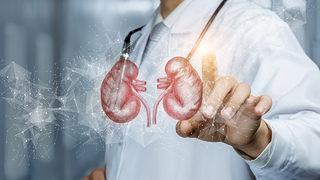 Böbrek yetmezliğinin en büyük nedenleri…