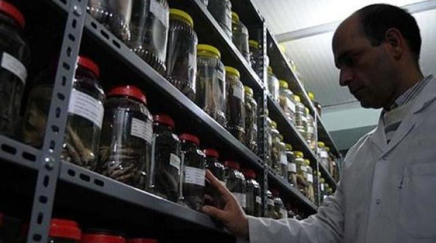 Bu fak&uuml;lteyi sadece 1 kişi tercih etti