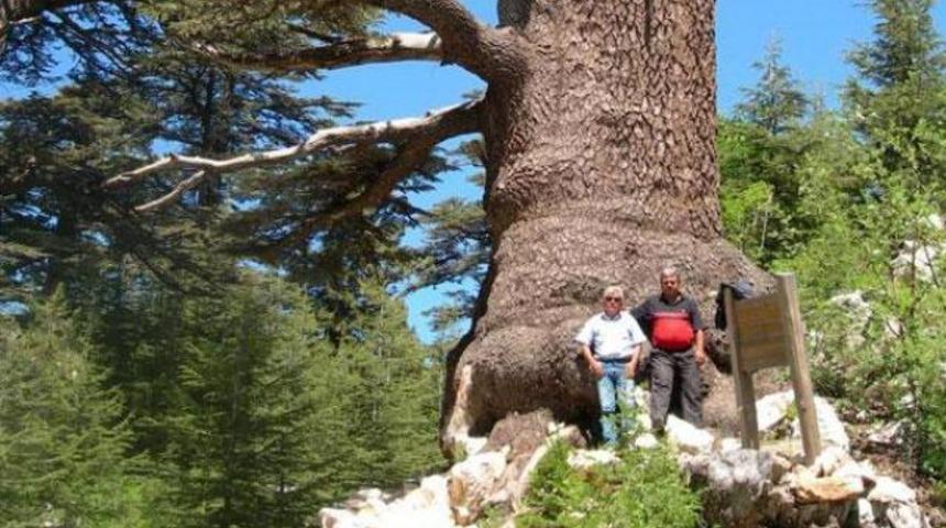 Yüzlerce yıldır ayakta