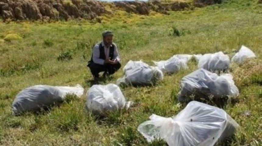 Kato Dağı'nda toplu mezar bulundu