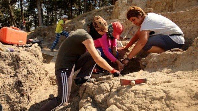 Yumuktepe'de 6500 yıllık saray bulundu