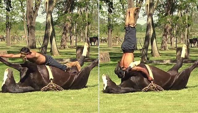 Atla yapılan yoga izleyenleri hayrete d&uuml;ş&uuml;r&uuml;yor 1