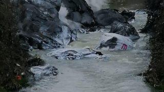 Kocaeli'de çevre katliamı! Çuvallara doldurup doldurup dereye attılar... Mahalleli koku gelince fark etti