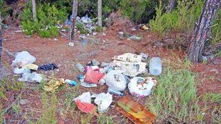 Yasak kalktı, çevre battı