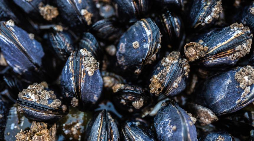 Yıllardır tüketiliyor! İnsan vücuduna etkileri korkunç...