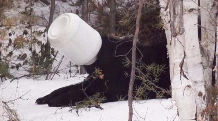 &Ccedil;izgi film gibi