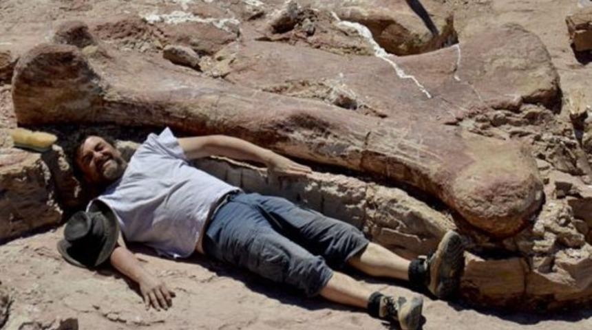 Dünyanın en büyük dinozoru bulundu