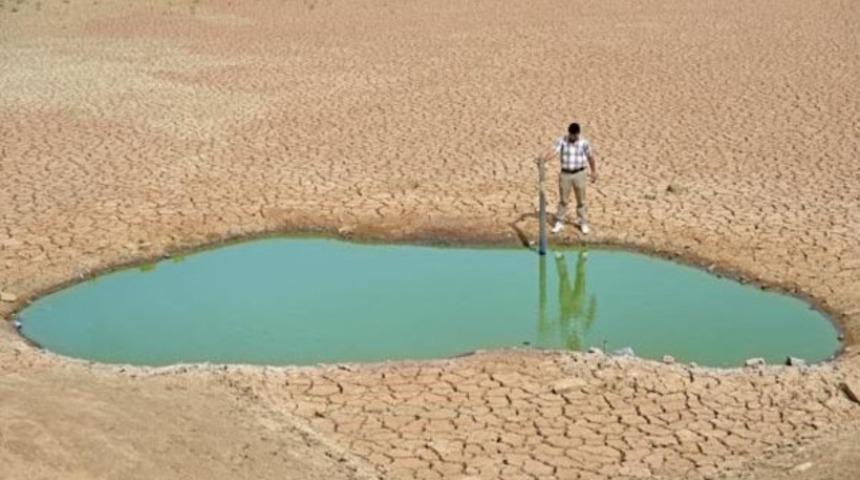Van'dan acı fotoğraf
