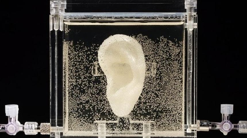 Van Gogh&rsquo;un kestiği kulağını yeniden yaptılar