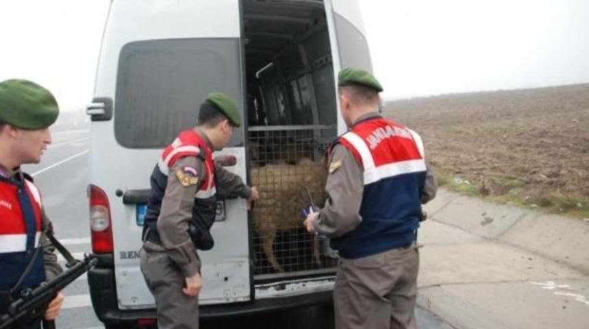 Jandarma tamamen sivilleşecek