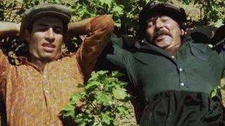 Erdal Özyağcılar'dan Kemal Sunal itirafı! Bayağı cimriydi ama...