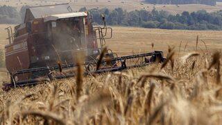 'Birçok alternatifimiz var' diyerek anlattı! Bakan Kirişçi'den tedarik açıklaması