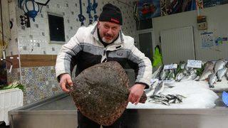 Karadeniz'de yakalandı: Bu balık tam 3 bin lira! 