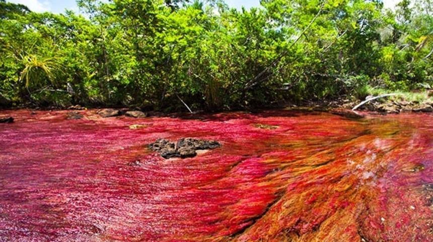 D&uuml;nyanın en g&uuml;zel nehri diyeceğiniz 8 fotoğraf
