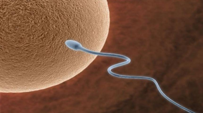 İleride tüm çocuklar Tüp Bebek mi olacak?