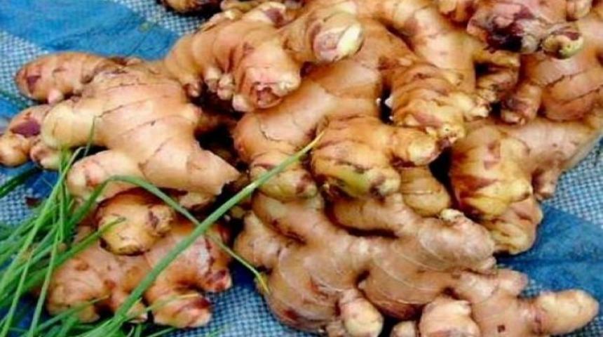 Mucize ararken, hasta olmayın