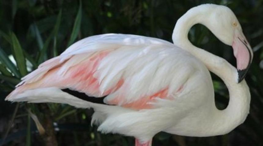 Tam 83 yıl yaşadı